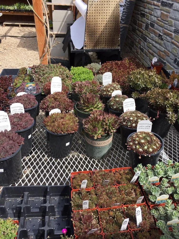 Expert outdoor landscaping in Riverton, UT - Super Trees Riverton Nursery