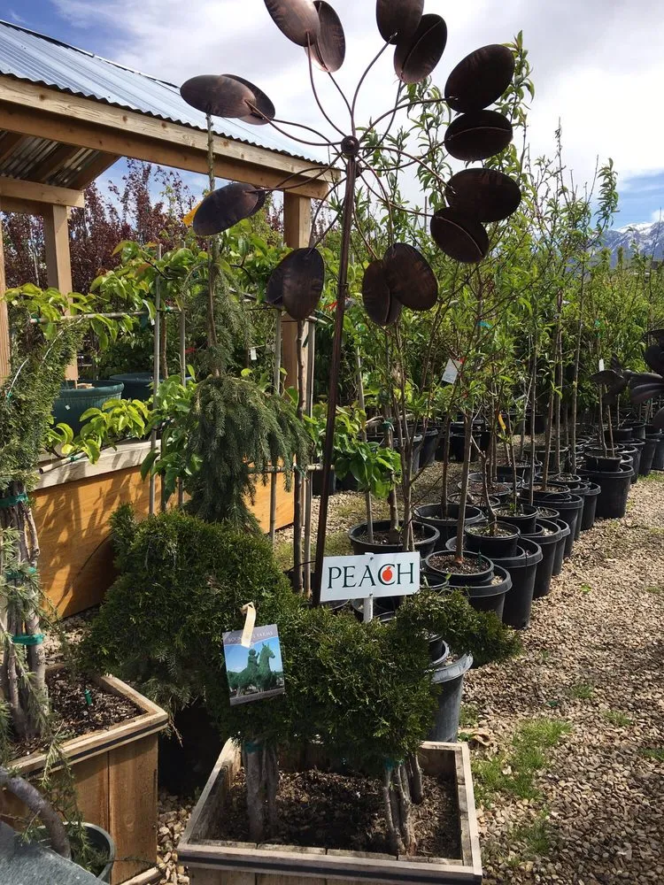 Affordable lawn care service for beautiful yards in Riverton, UT by Super Trees Riverton Nursery