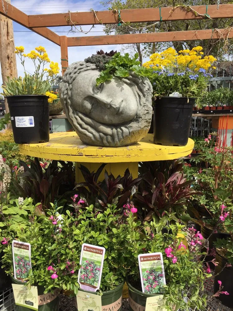 Professional landscaping services in Riverton, UT - Super Trees Riverton Nursery