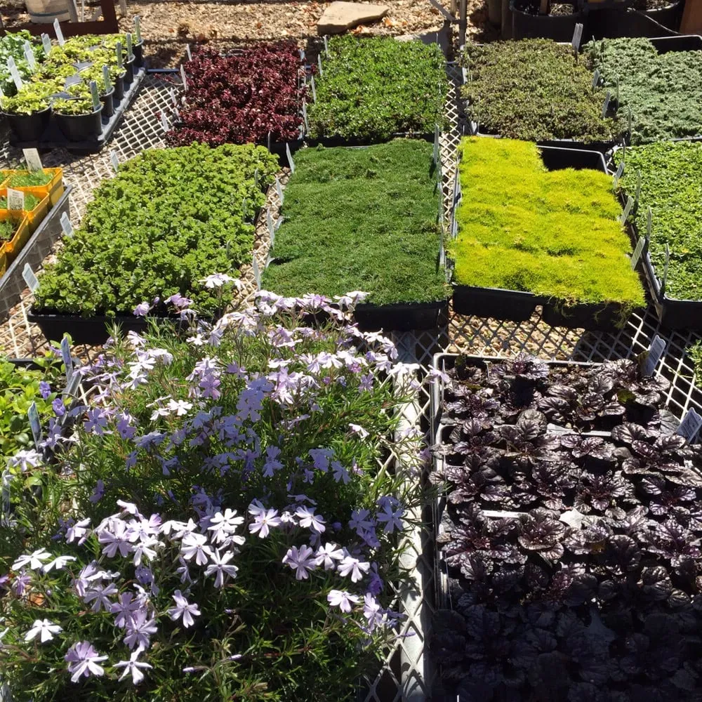 Top-rated garden landscaping for homes across Riverton, UT - Super Trees Riverton Nursery