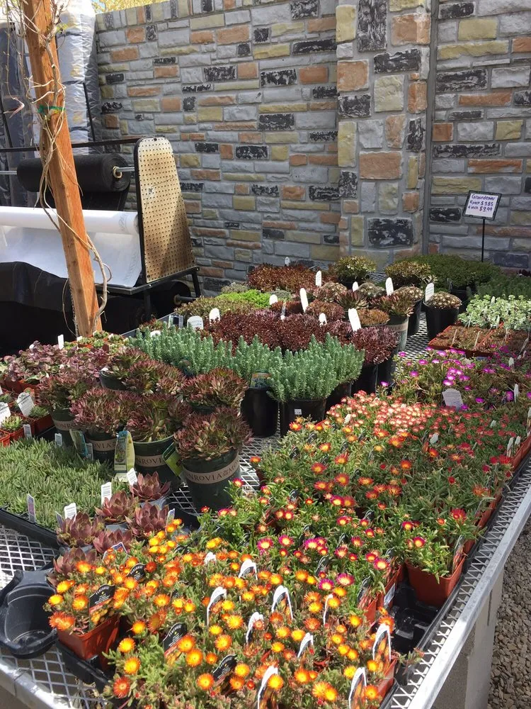 Affordable lawn mowing service in Riverton, UT - Super Trees Riverton Nursery