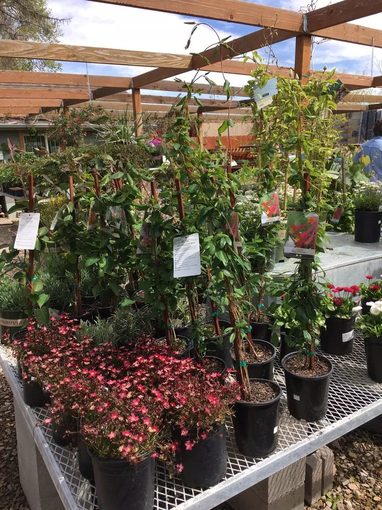 Reliable garden landscaping for residential properties across Riverton, UT - Super Trees Riverton Nursery