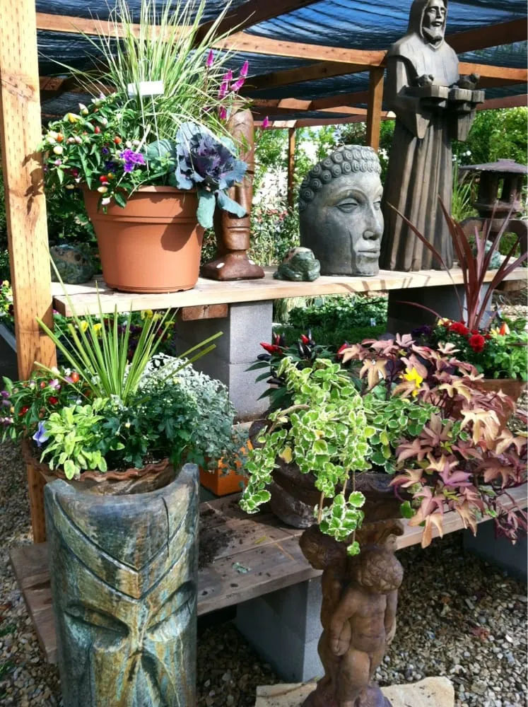 Reliable yard maintenance for homes across Riverton, UT - Super Trees Riverton Nursery