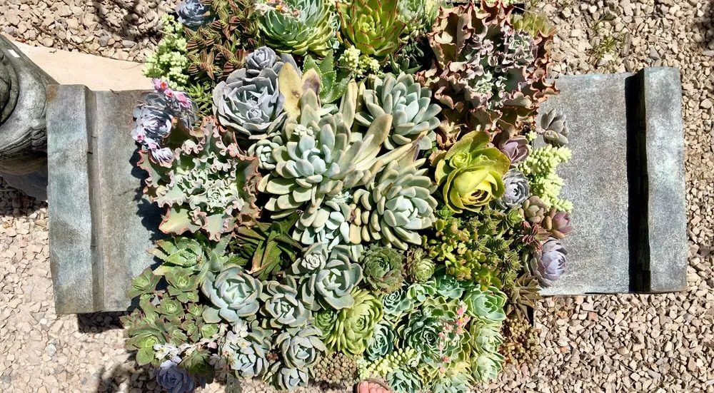 Expert landscaping services for outdoor upgrades across Riverton, UT - Super Trees Riverton Nursery