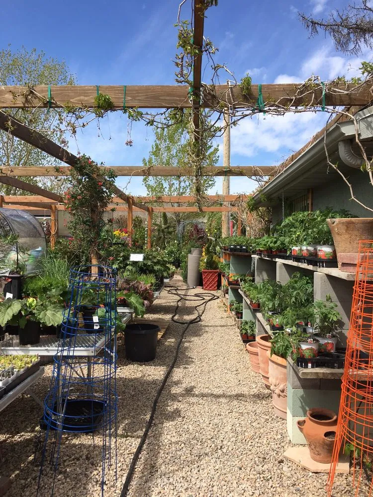 Top-rated lawn care service experts serving Riverton, UT - Super Trees Riverton Nursery