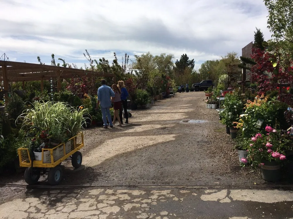 Affordable residential landscaping in Riverton, UT - Super Trees Riverton Nursery
