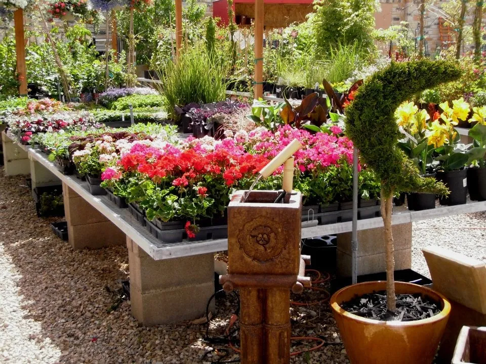 Top-rated yard cleanup service in Riverton, UT - Super Trees Riverton Nursery