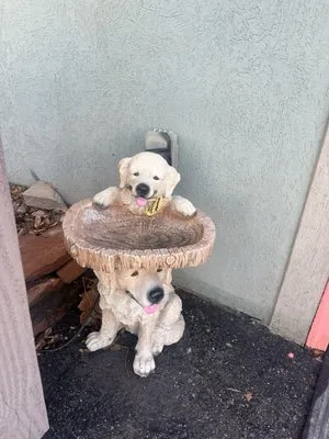 Super Trees Riverton Nursery