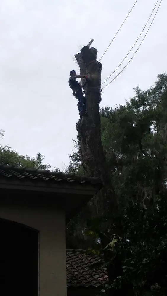 Local lawn mowing service for outdoor upgrades in Deltona, FL by Super Trim Outdoors