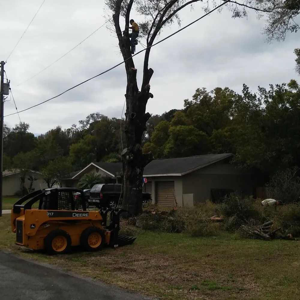 Local landscape installation for residential properties across Deltona, FL - Super Trim Outdoors