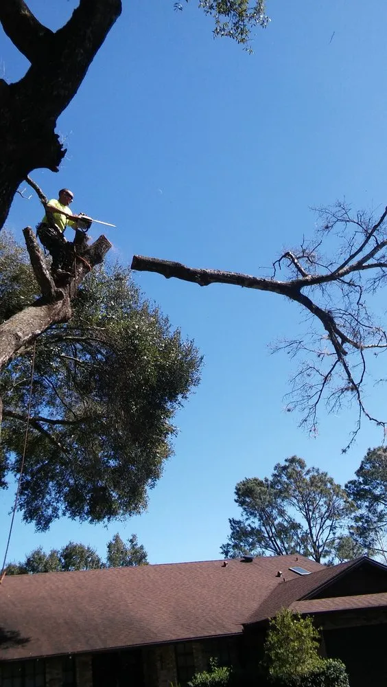 Reliable landscaping services in Deltona, FL by Super Trim Outdoors