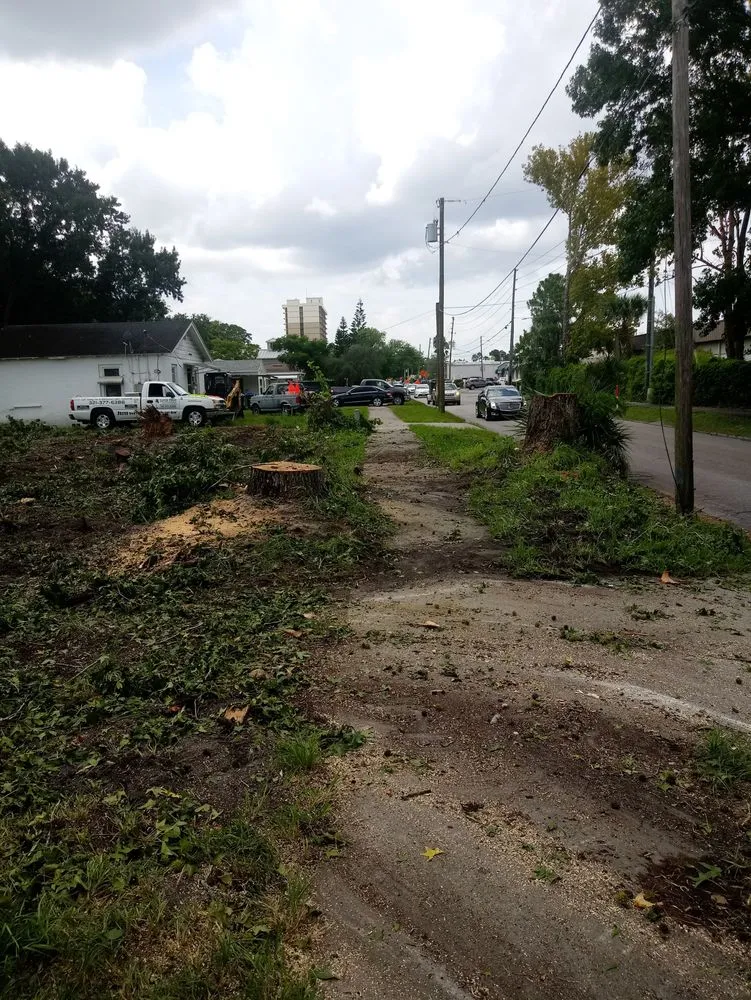 Expert outdoor landscaping for outdoor upgrades across Deltona, FL - Super Trim Outdoors