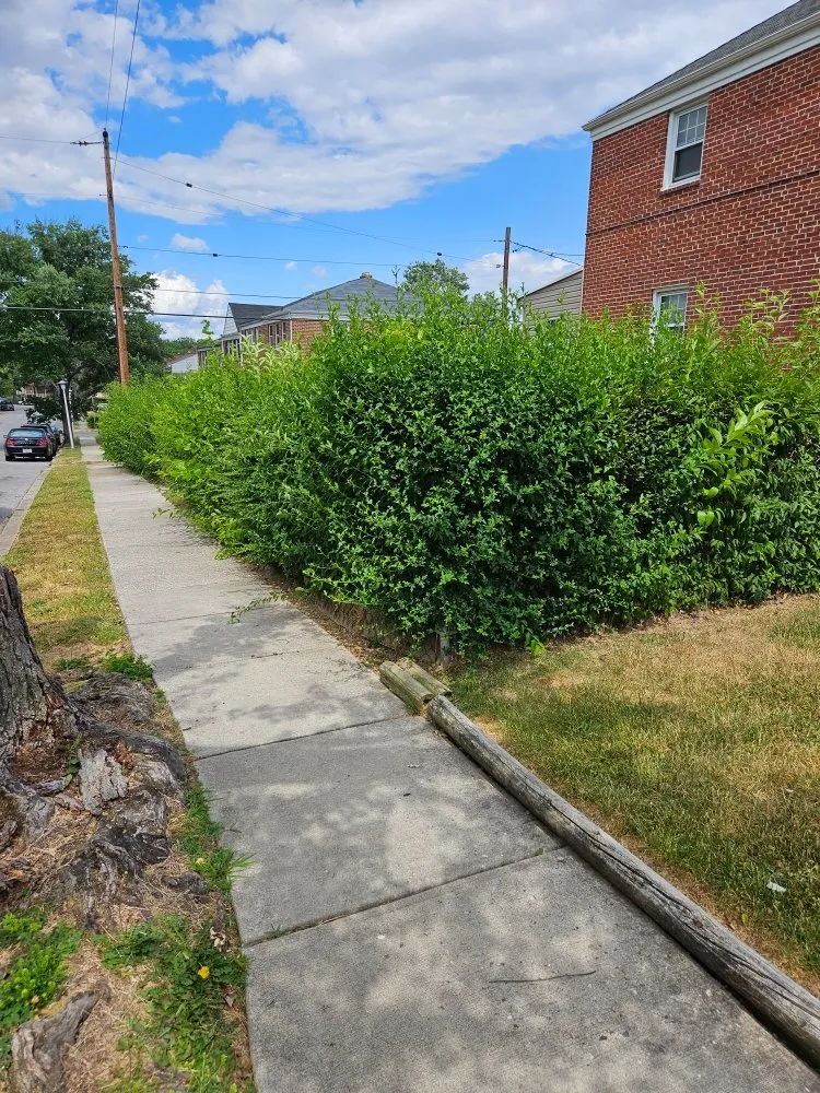 Custom lawn care service with custom design in Baltimore, MD by Super Trimm Landscaping