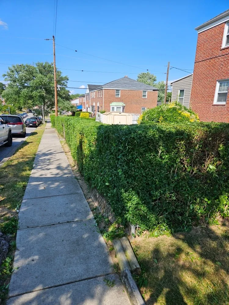 Custom outdoor landscaping for year-round maintenance in Baltimore, MD by Super Trimm Landscaping