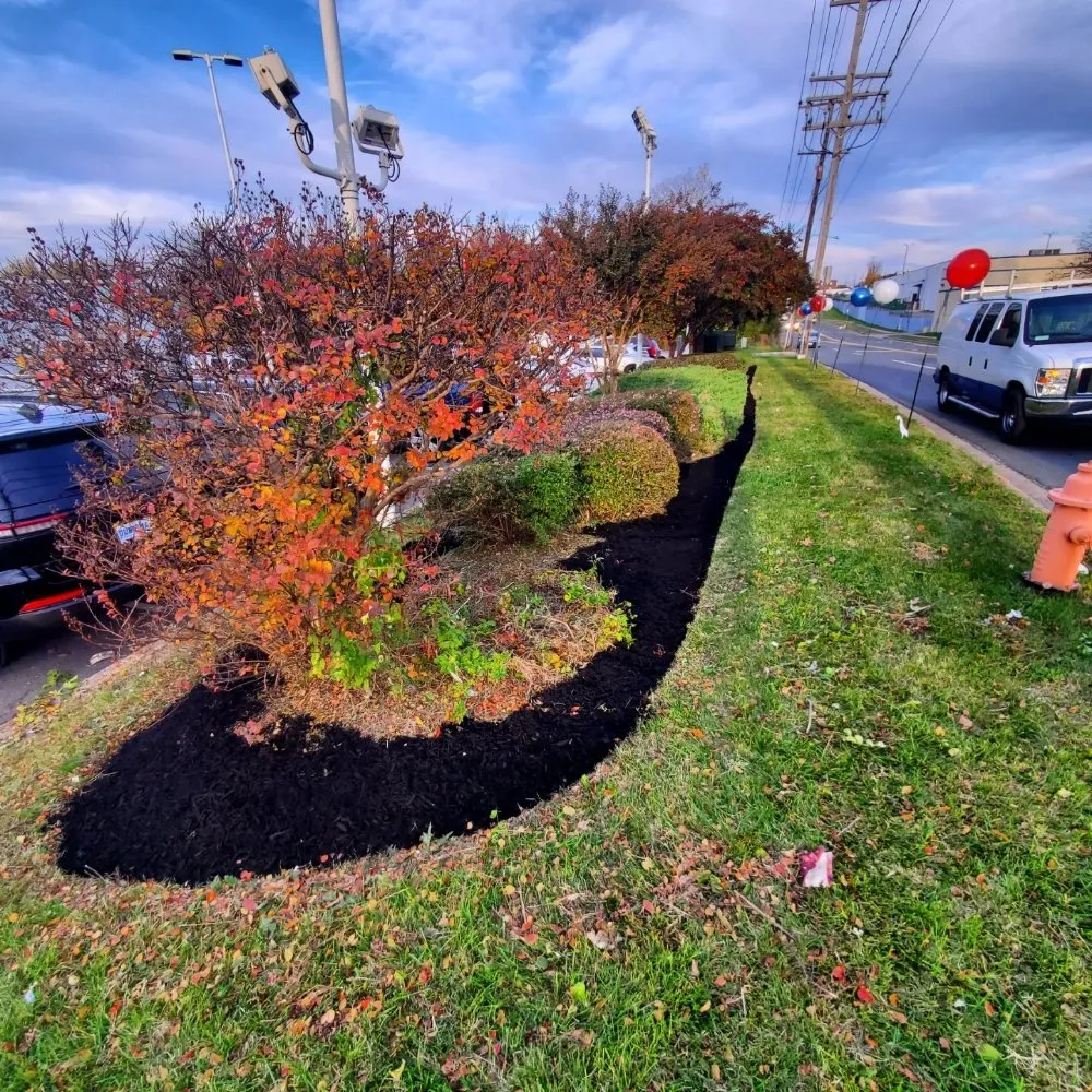 Local landscape installation in Baltimore, MD - Super Trimm Landscaping