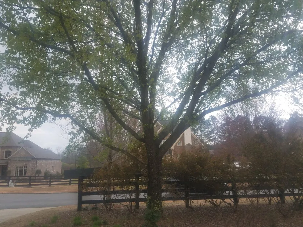 Local garden landscaping in Cumming, GA by Super Yard Care