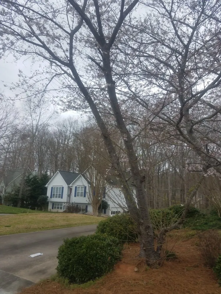 Professional landscaping services in Cumming, GA by Super Yard Care