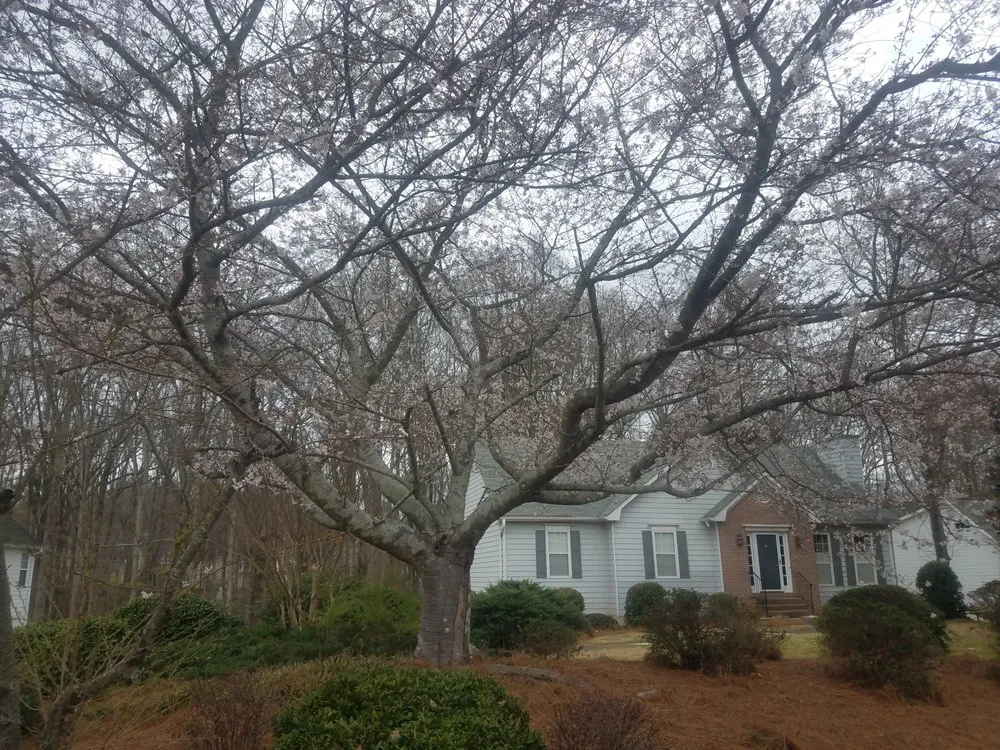 Trusted landscape design in Cumming, GA - Super Yard Care