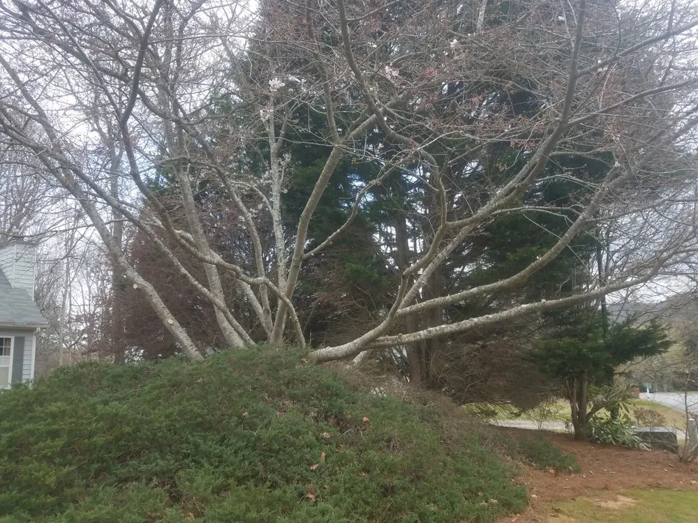 Custom landscaping services for beautiful yards in Cumming, GA by Super Yard Care