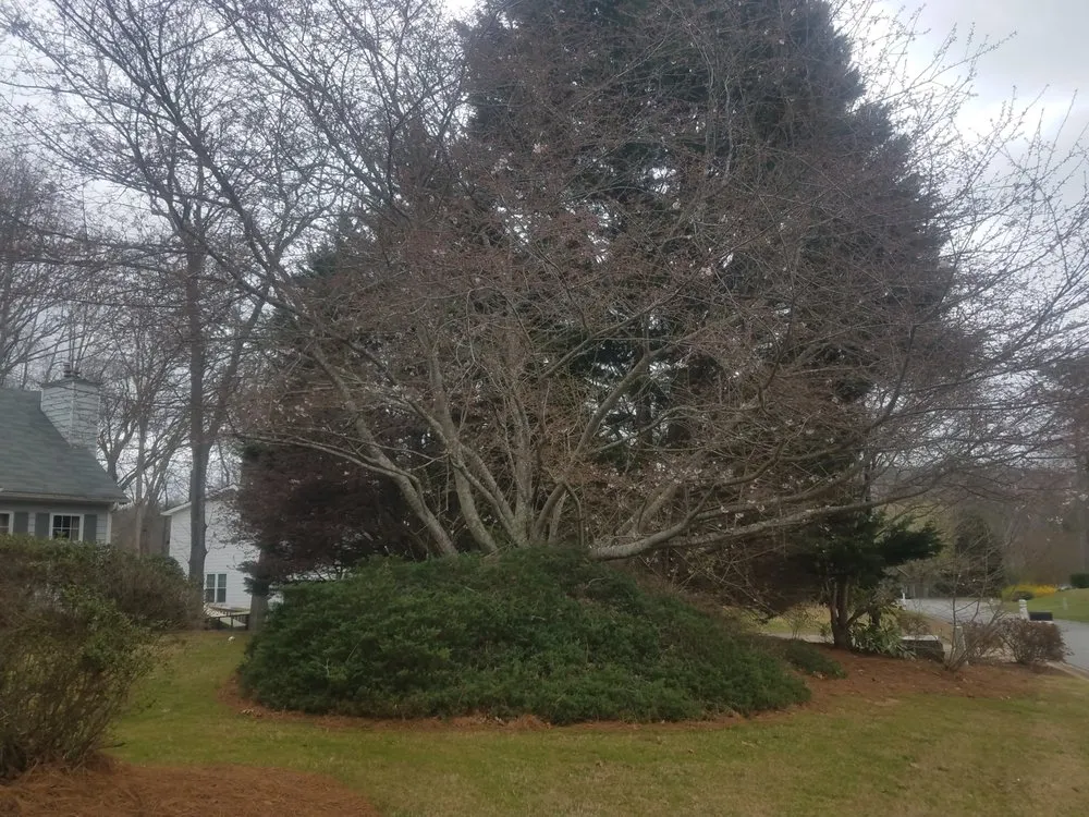 Reliable landscape design in Cumming, GA - Super Yard Care