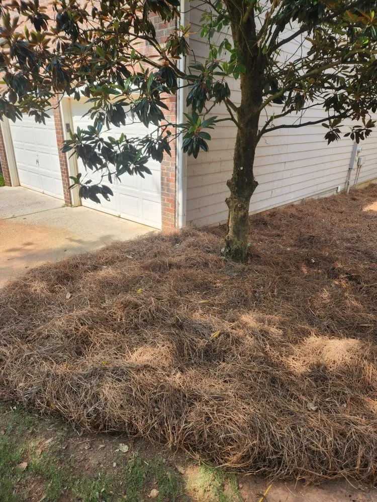 Expert landscape installation in Cumming, GA - Super Yard Care