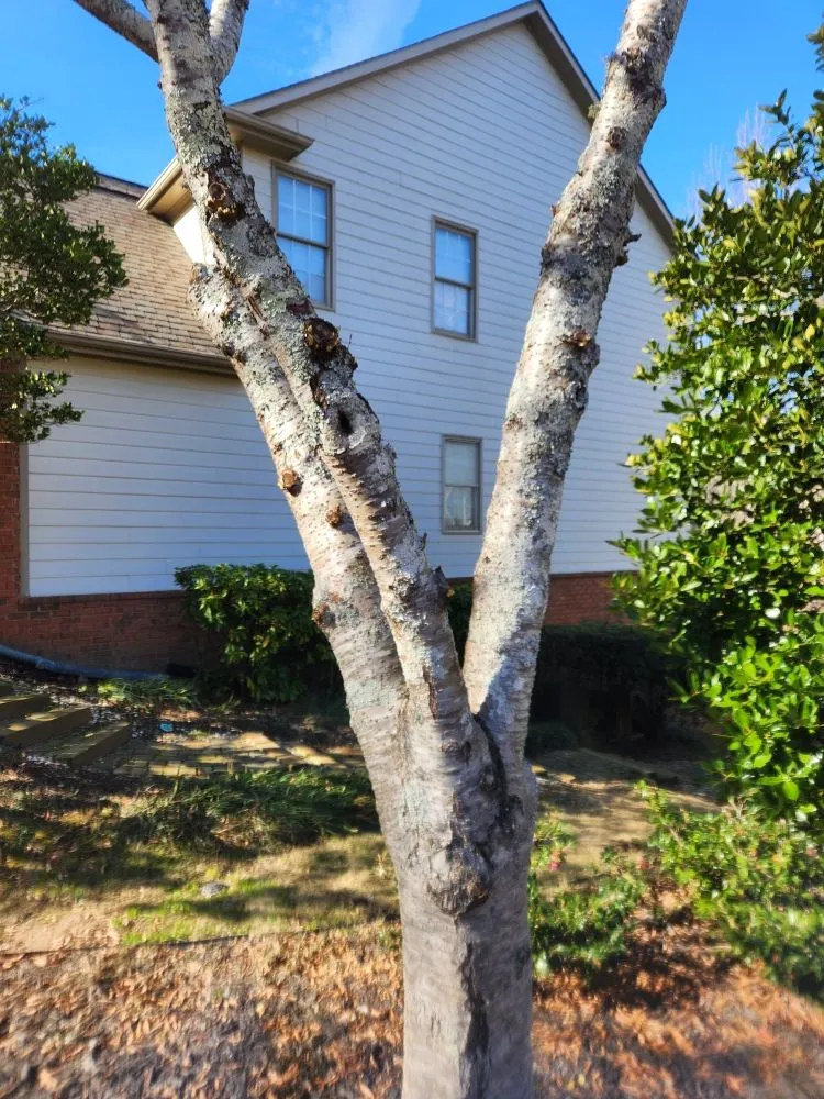 Top-rated garden landscaping in Cumming, GA by Super Yard Care