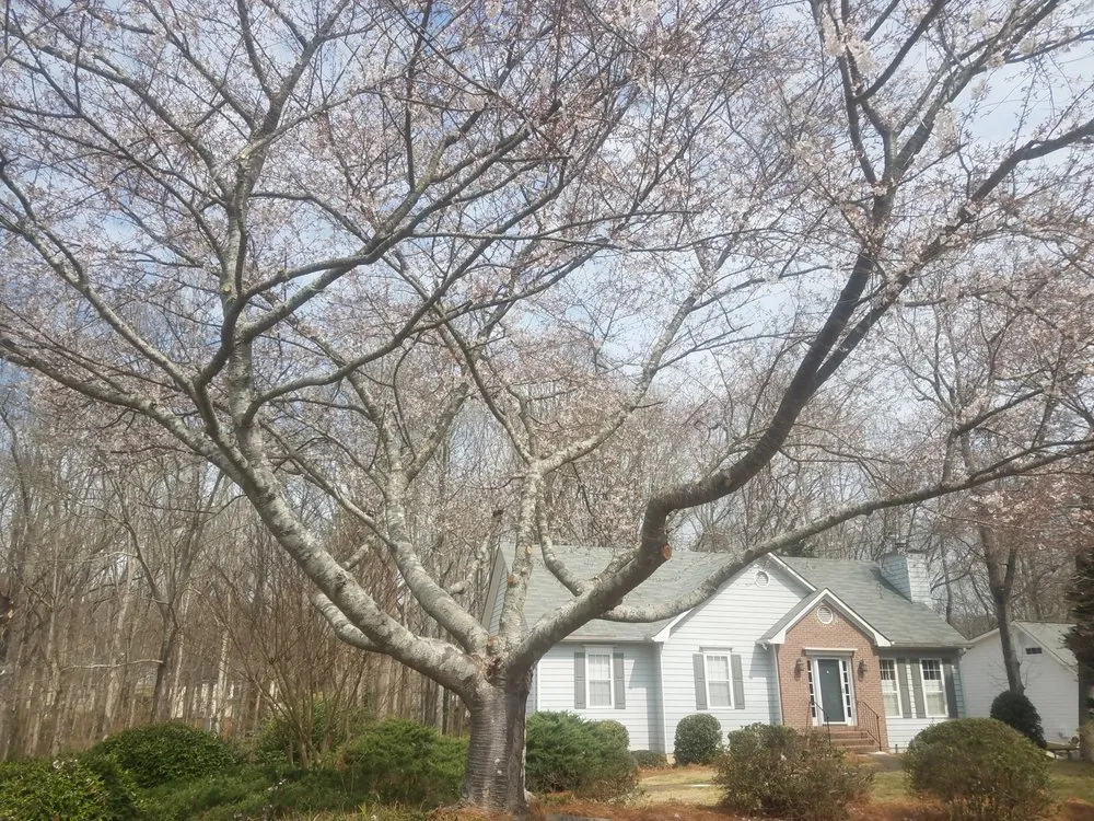 Top-rated garden landscaping experts serving Cumming, GA - Super Yard Care