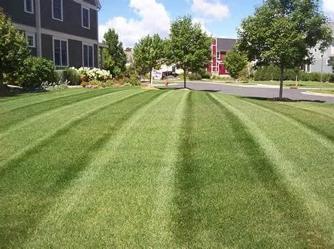 Local garden landscaping in Kennesaw, GA - Super Yardz