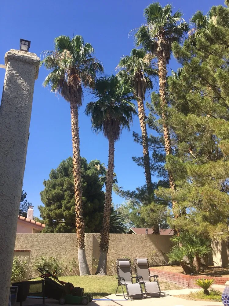 Reliable lawn mowing service in Henderson, NV by Superb Landscape and Maintenance