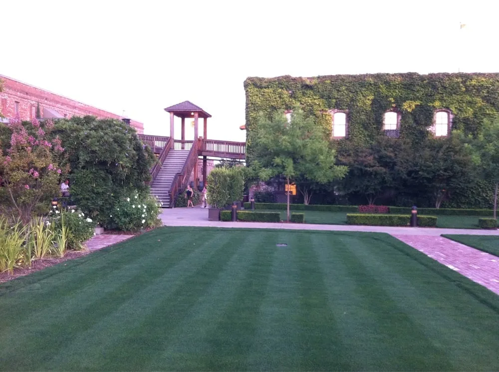 Affordable lawn mowing service experts serving Henderson, NV - Superb Landscape and Maintenance