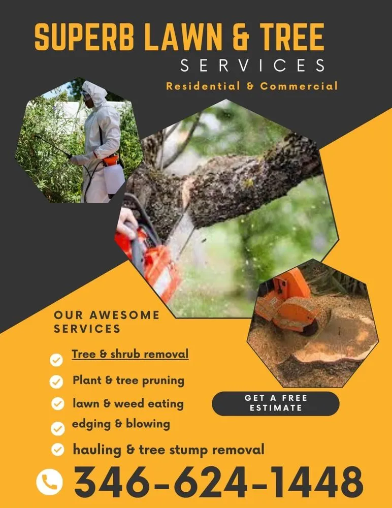 Expert landscape design in Baytown, TX by Superb Lawn & Tree Service