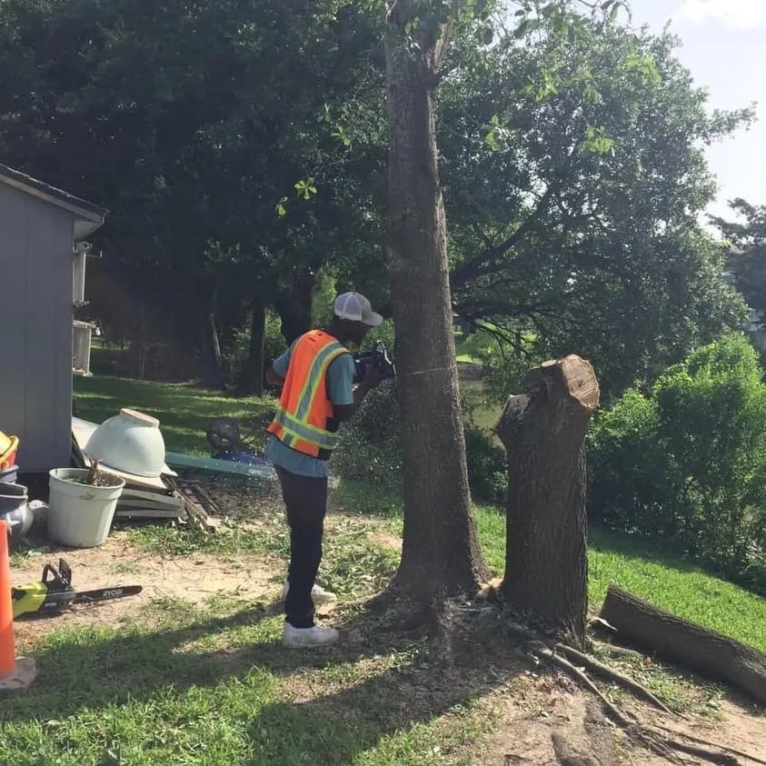 Affordable garden landscaping experts serving Baytown, TX - Superb Lawn & Tree Service