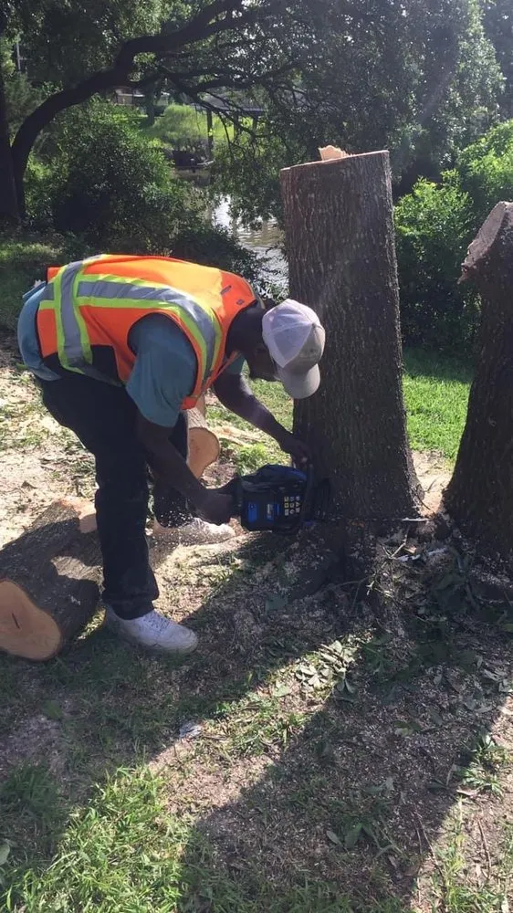 Professional yard cleanup service in Baytown, TX by Superb Lawn & Tree Service