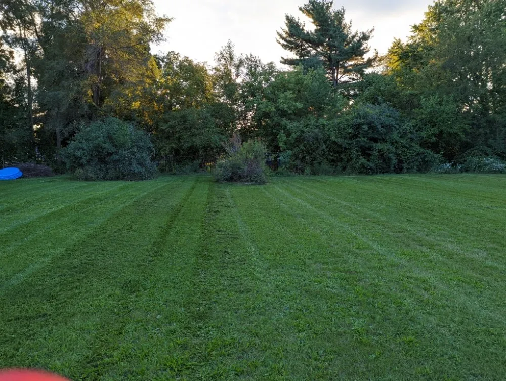 Trusted yard cleanup service in Lansing, MI by Superb Lawn Care & Snow Removal