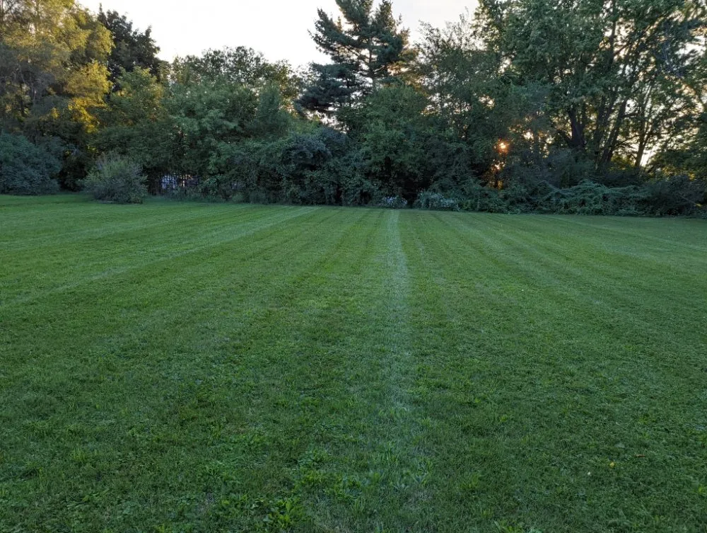 Top-rated landscaping services experts serving Lansing, MI - Superb Lawn Care & Snow Removal