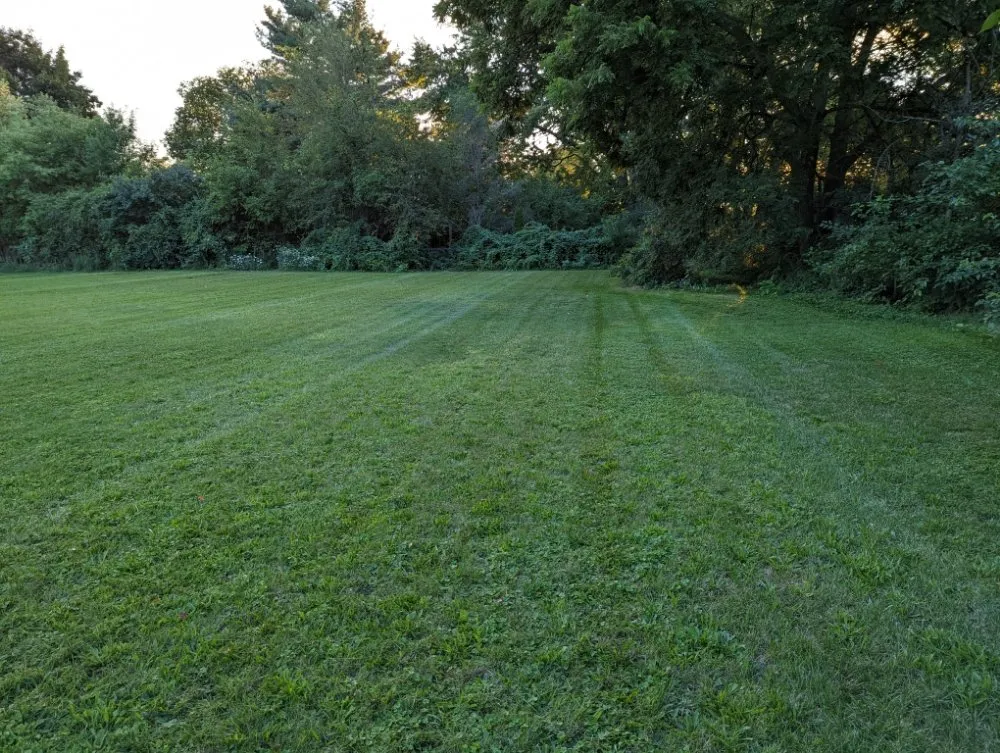 Professional yard cleanup service in Lansing, MI - Superb Lawn Care & Snow Removal