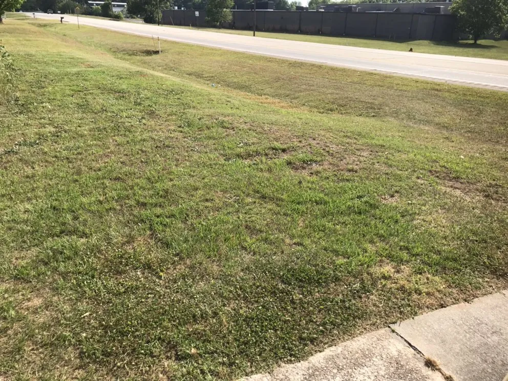 Affordable yard maintenance experts serving Lawrenceville, GA - Superb Pressure Washing & Lawn Care