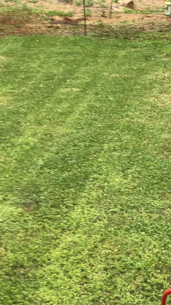 Expert residential landscaping for residential properties across Lawrenceville, GA - Superb Pressure Washing & Lawn Care