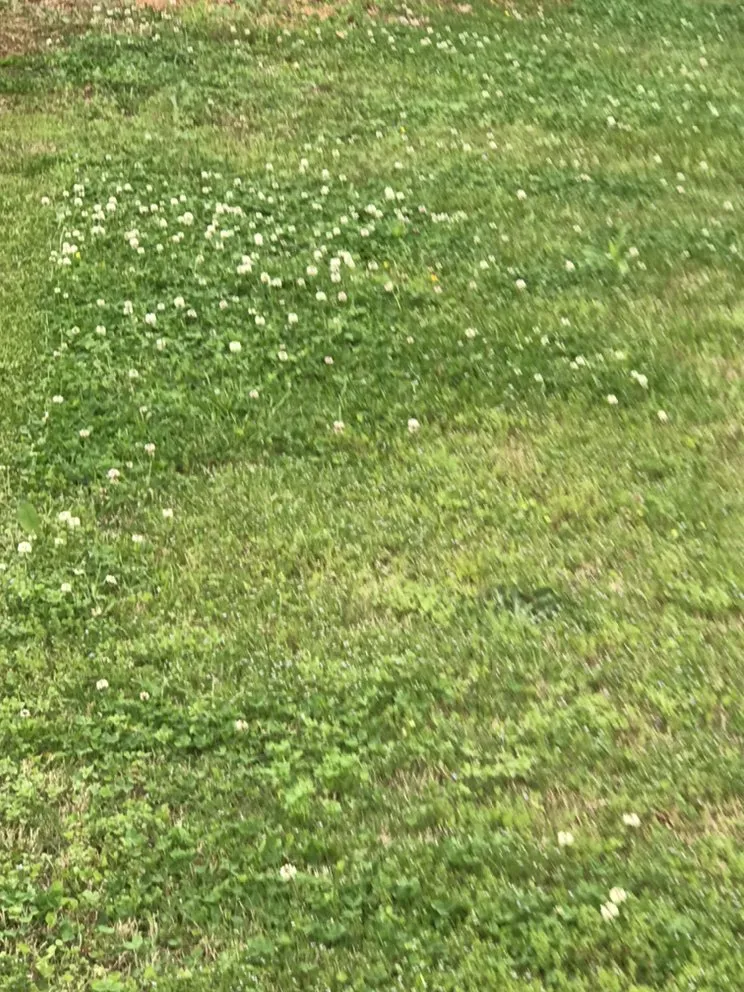 Reliable landscaping services for residential properties in Lawrenceville, GA by Superb Pressure Washing & Lawn Care