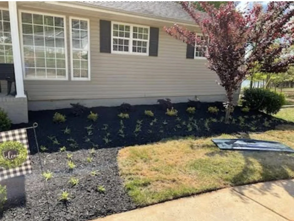 Trusted garden landscaping for outdoor upgrades across Greenville, SC - Superb Yard Services