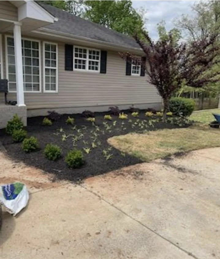 Local residential landscaping in Greenville, SC by Superb Yard Services