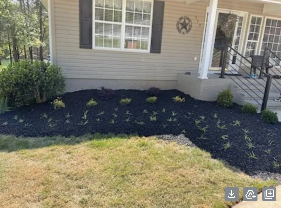 Professional landscaping services in Greenville, SC - Superb Yard Services