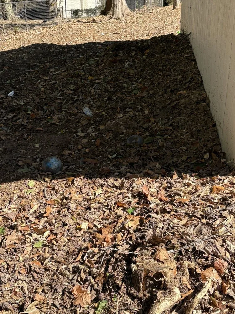 Local lawn care service for year-round maintenance in Atlanta, GA by Superblooming Landscaping