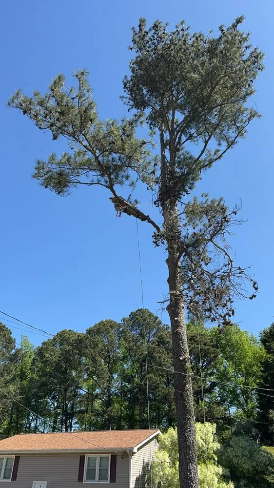 Trusted yard cleanup service in Atlanta, GA - Superblooming Landscaping