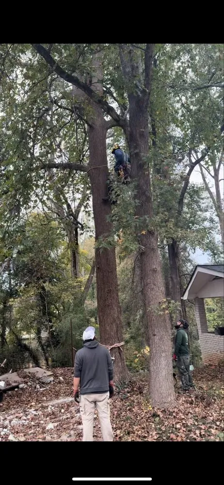Top-rated landscape installation with custom design across Atlanta, GA - Superblooming Landscaping