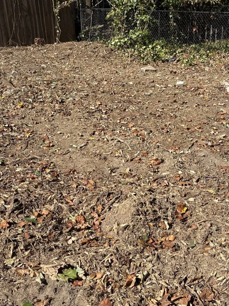 Top-rated lawn mowing service in Atlanta, GA - Superblooming Landscaping