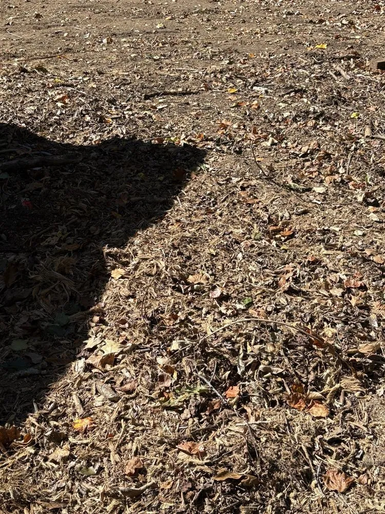 Top-rated yard maintenance in Atlanta, GA - Superblooming Landscaping