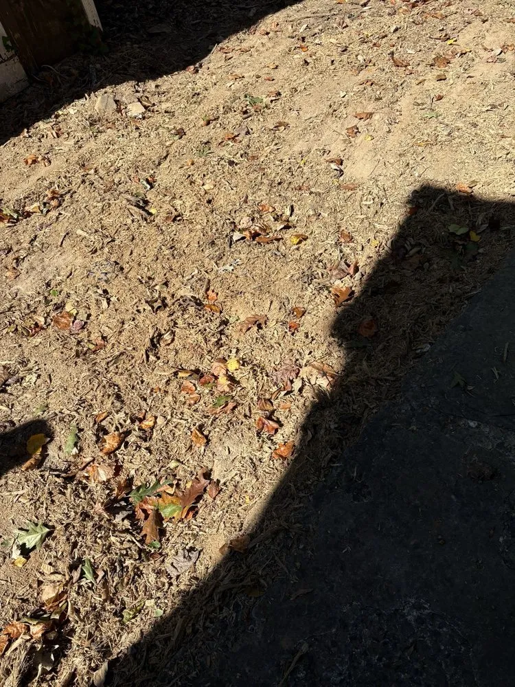 Affordable garden landscaping with custom design in Atlanta, GA by Superblooming Landscaping