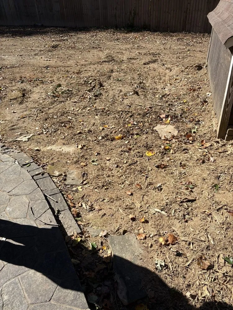 Custom yard maintenance for year-round maintenance in Atlanta, GA by Superblooming Landscaping