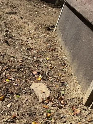 Superblooming Landscaping Logo